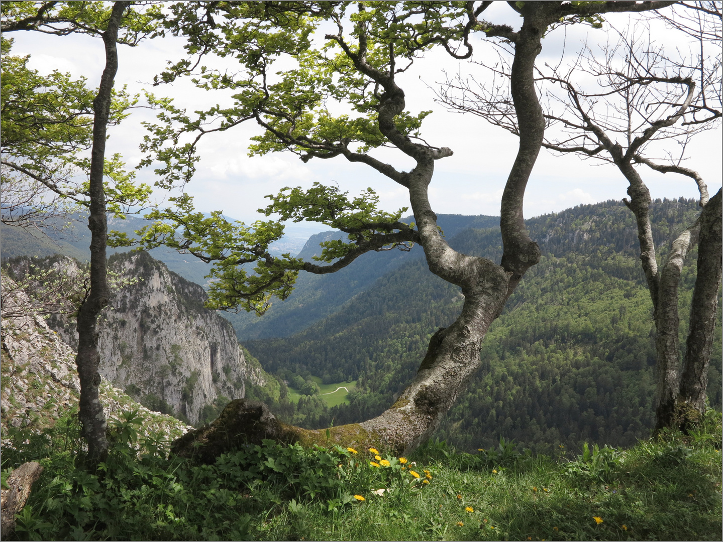 der Creux du Van im Val du Travers (3)