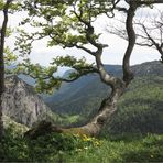 der Creux du Van im Val du Travers (3)