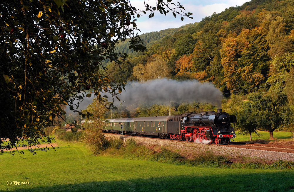 Der Dampfschnellzug