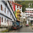Der Darjeeling Dali Monastery Schuß III
