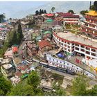 Der Darjeeling Dali Monastery Shot - für Dieselfreunde