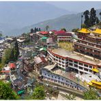 Der Darjeeling Dali Monastery Shot IV