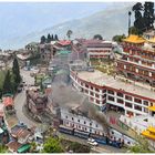 Der Darjeeling Dali Monastery Shot V