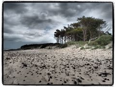 Der Darß - Natur pur - der Weststrand