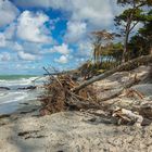 Der Darßer Naturstrand.