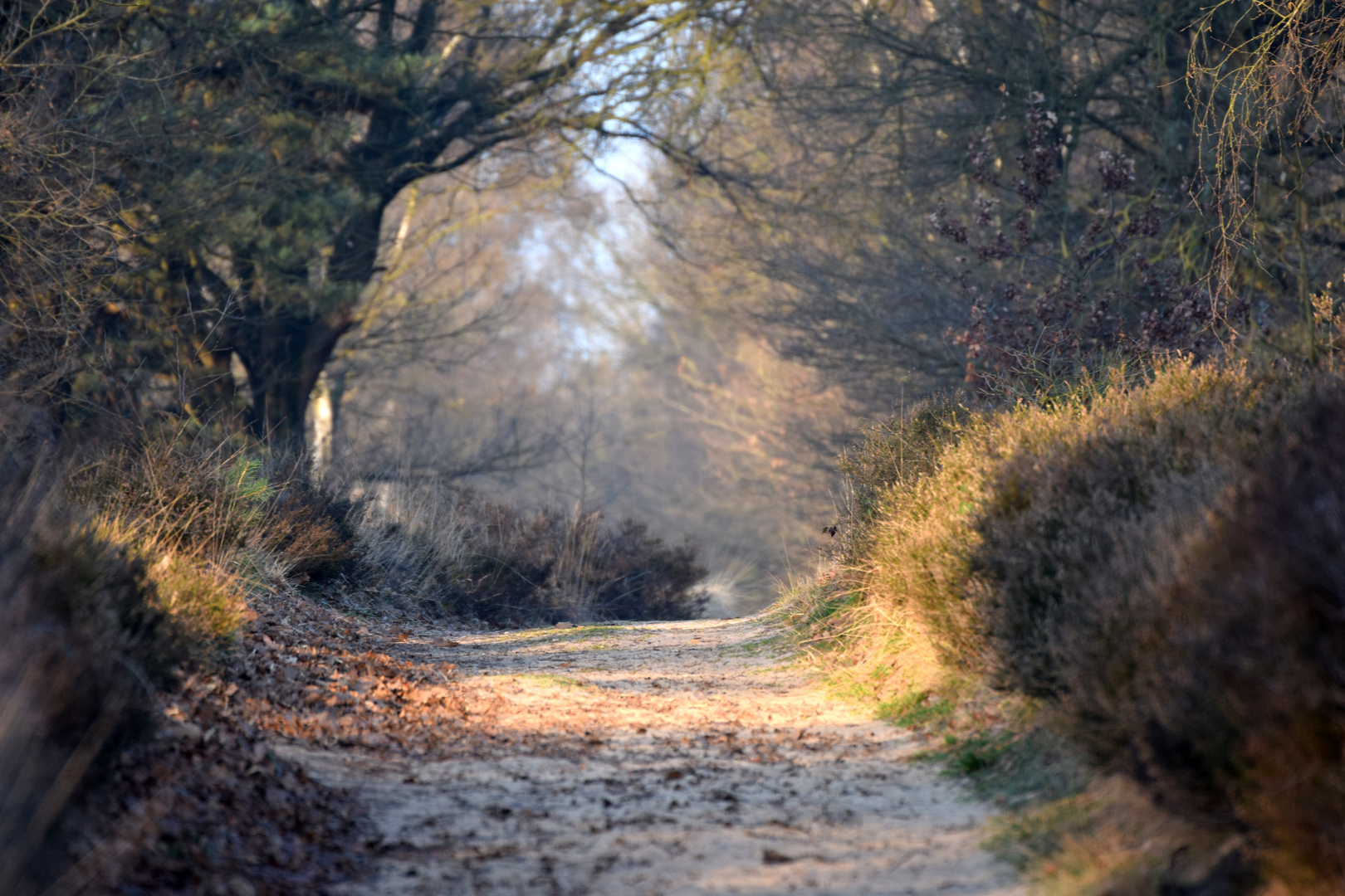 Der De Meinweg in Holland