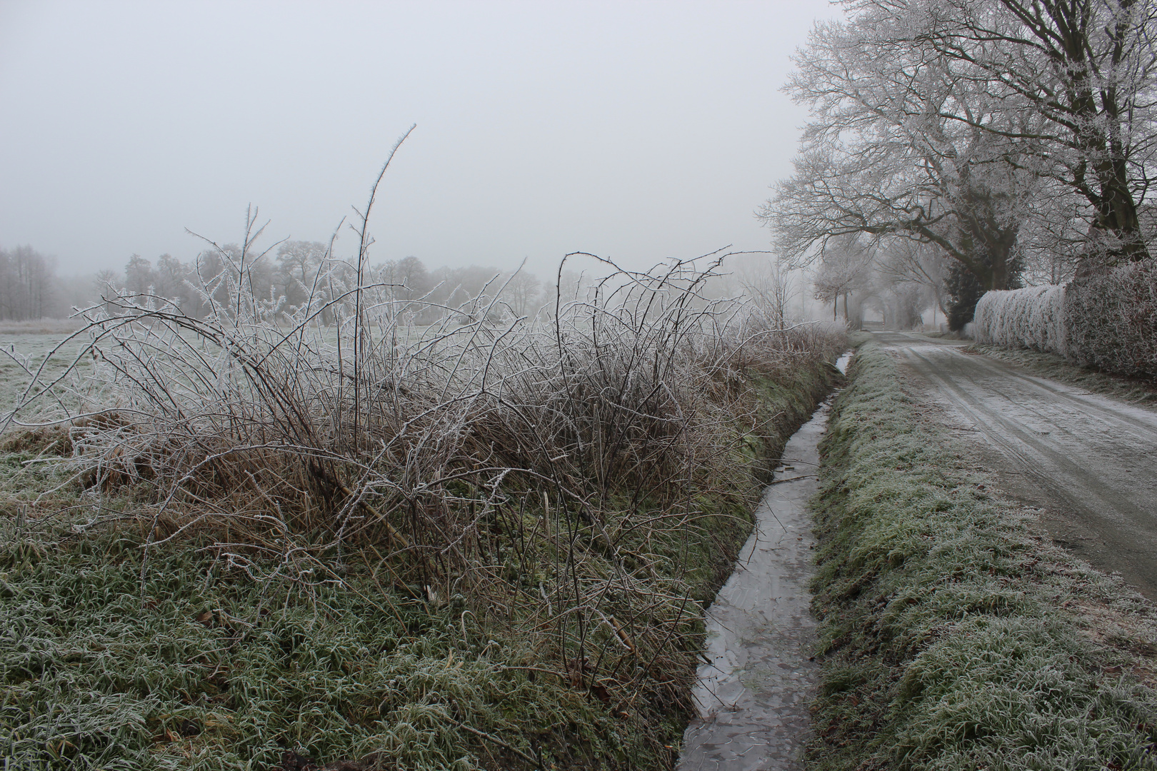 Der Deepsdammer Weg in Sillenstede