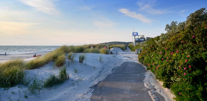 Der Deich am DLRG Häuschen Vitte Insel Hiddensee