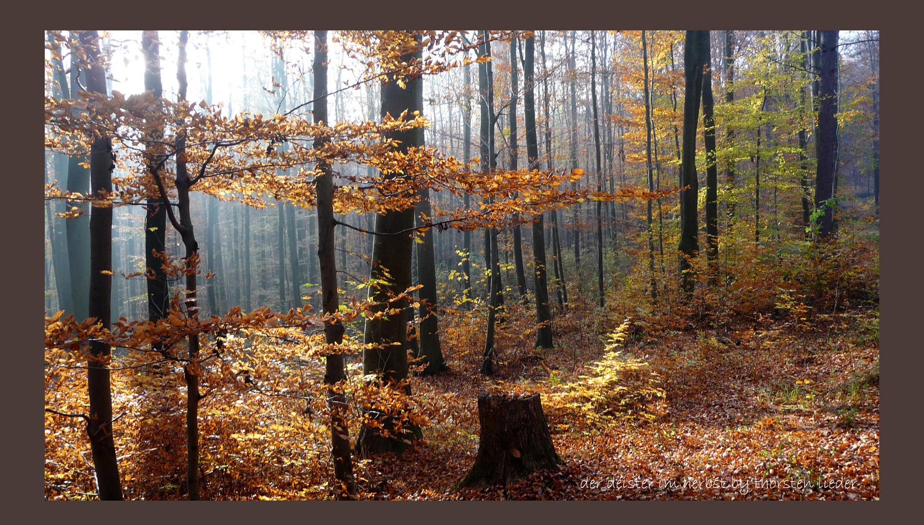 der Deister bei Springe im Herbst