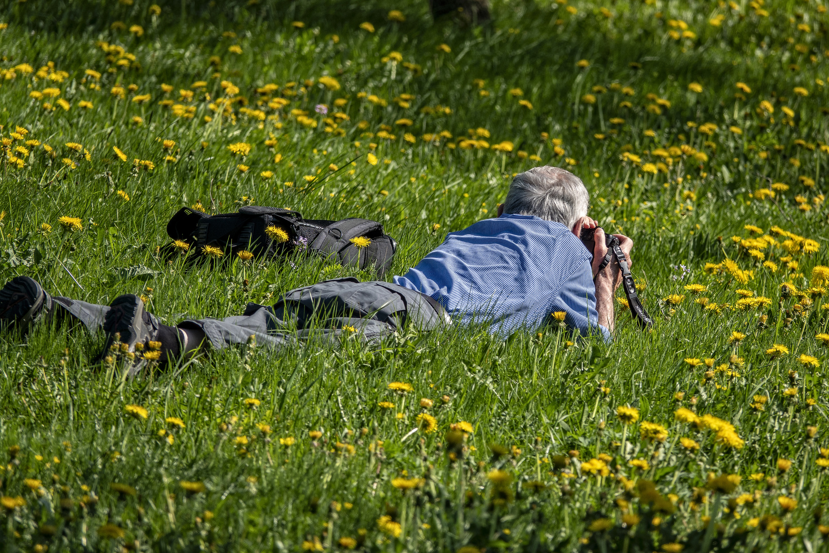 Der den Frühling fängt --