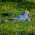 Der den Frühling fängt --