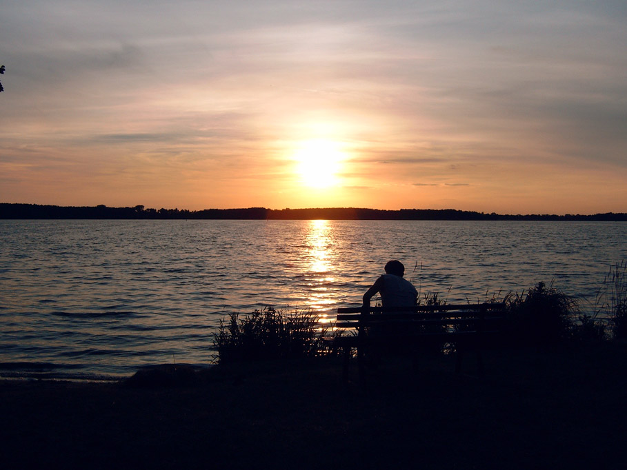 Der Denker am See