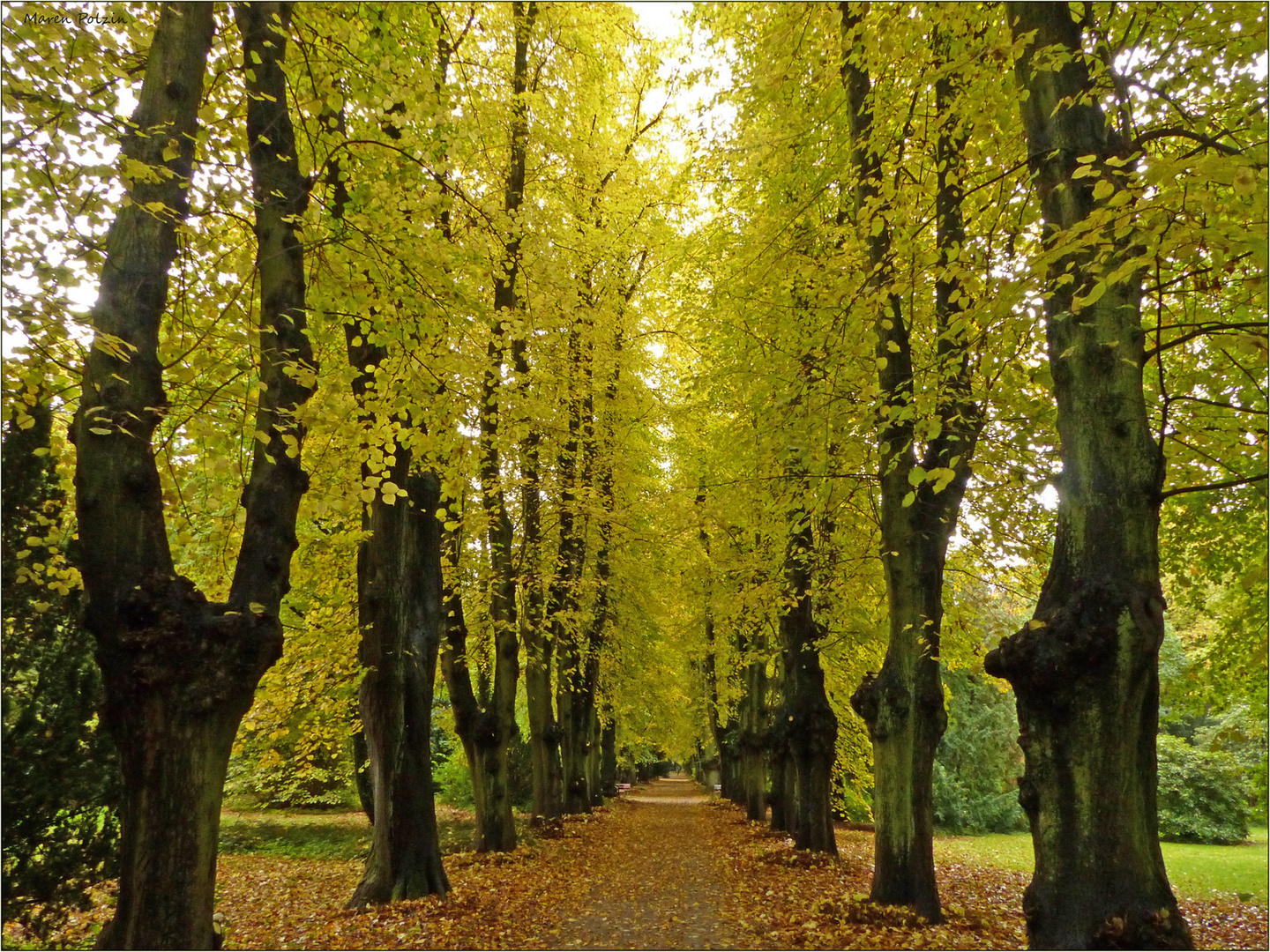 Der denkmalgeschützte Lindenpark Foto & Bild deutschland, europe