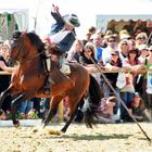 Der, der mit dem Pferd tanzt