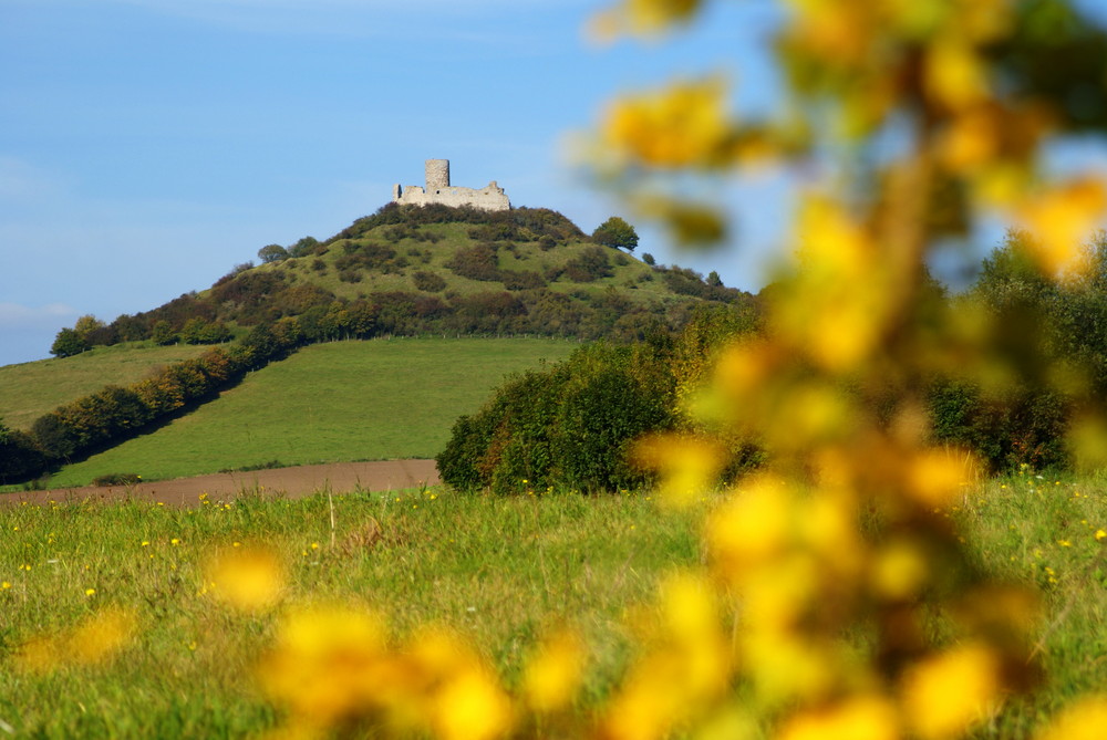 Der Desenberg bei Warburg Foto & Bild landschaft, berge, natur Bilder