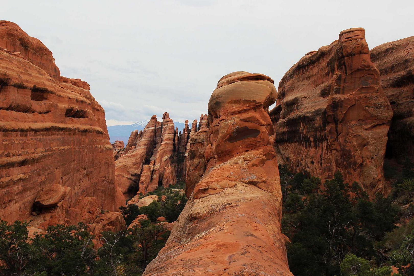 Der Devils Garden Primitive Loop Trail Foto Bild World