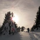 der Dezember-Sonne entgegen