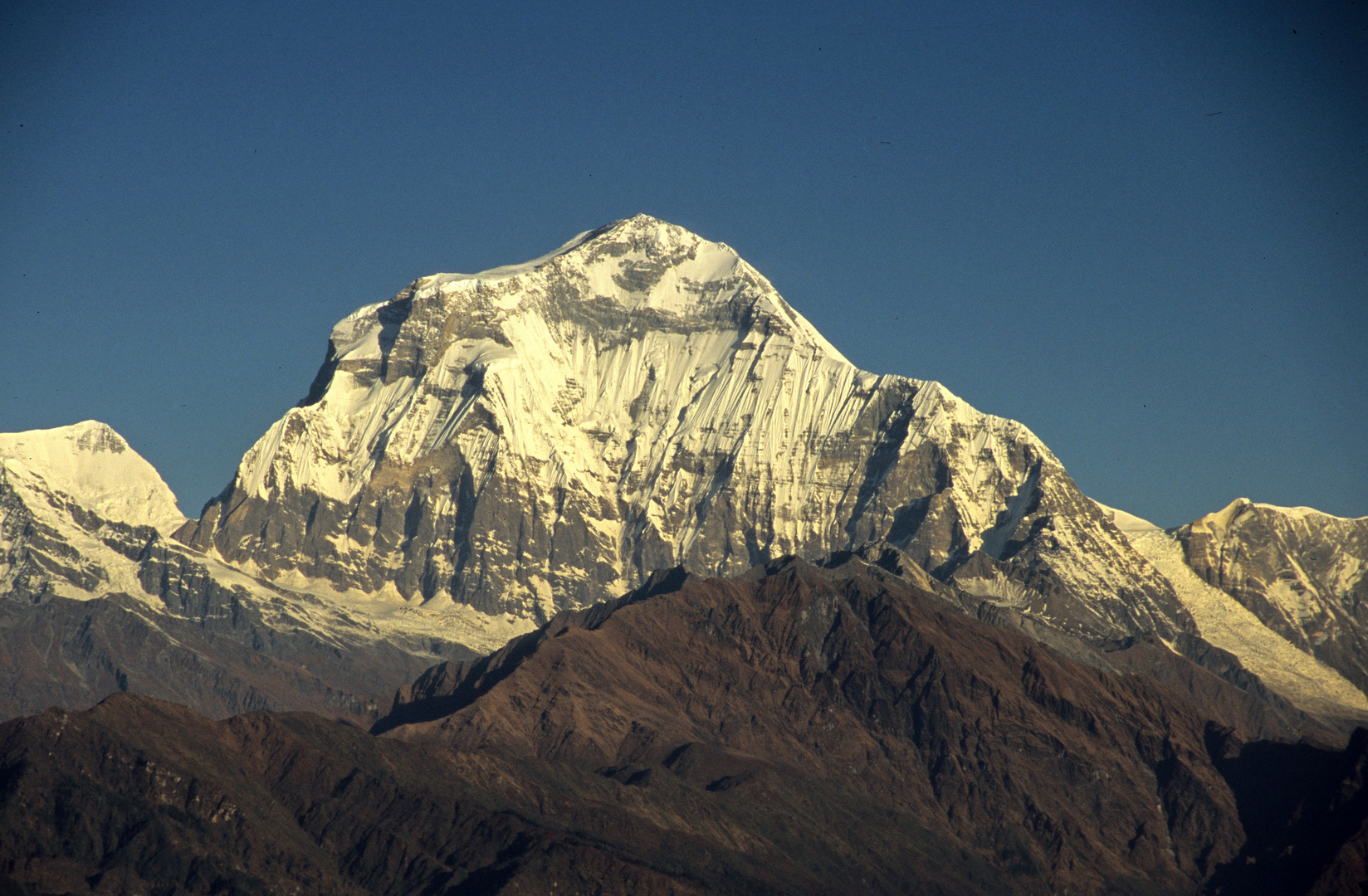 Der Dhaulagiri (8172m) vom Aussichtspunkt Poon Hill