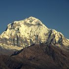 Der Dhaulagiri (8172m) vom Aussichtspunkt Poon Hill