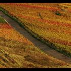 der diagonale Weinbergschneckenweg