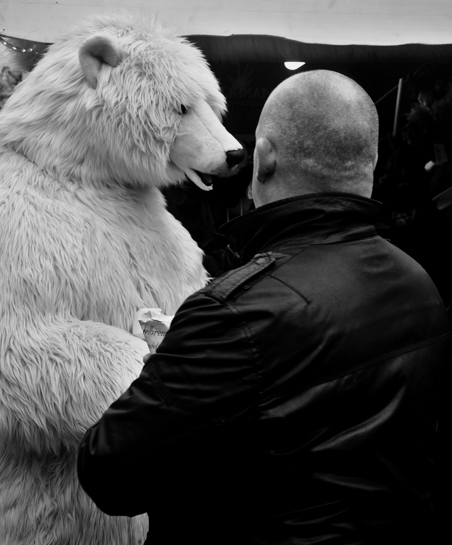Der Dialog mit dem Eisbären