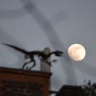 Der Dino und der Mond