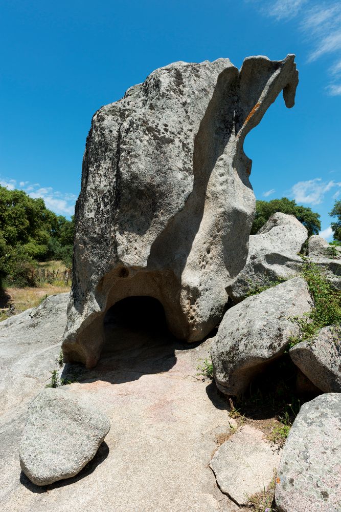 Der Dinosaurier in Filitosa