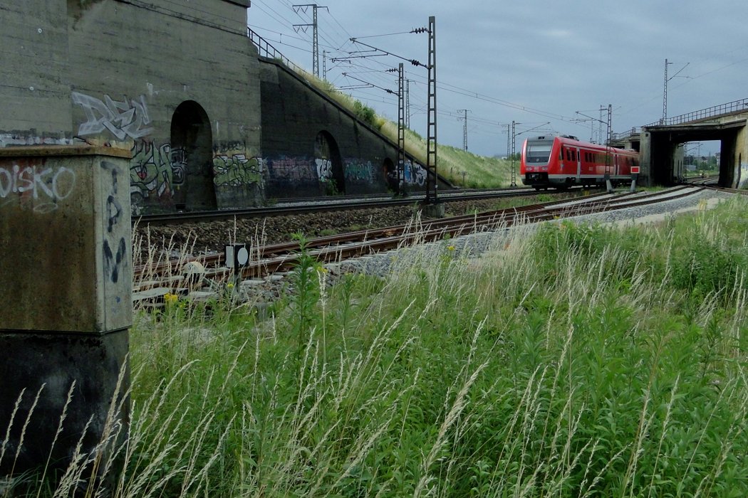 Der Diskogänger verpasst den Morgen