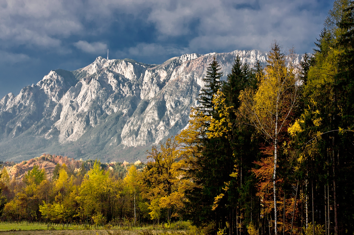 Der Dobratsch im Herbst