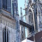 Der Dom