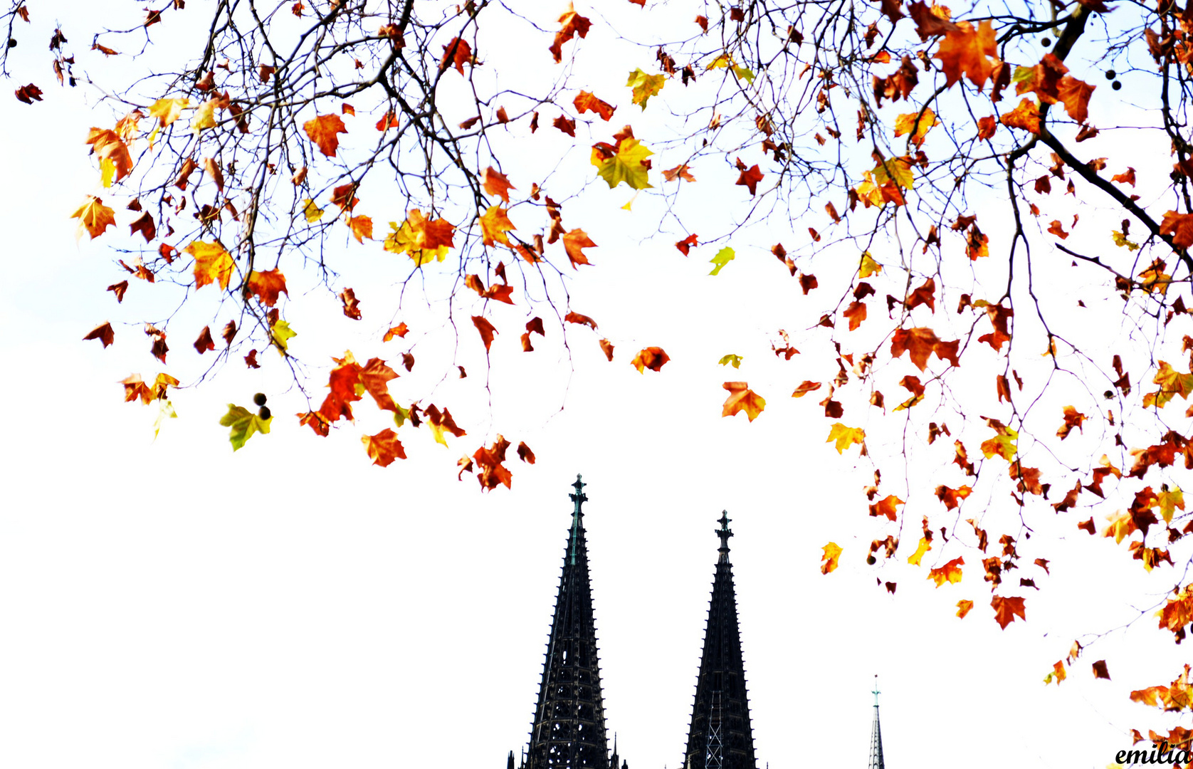 Der Dom