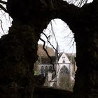 der Dom aus anderer Perspektive