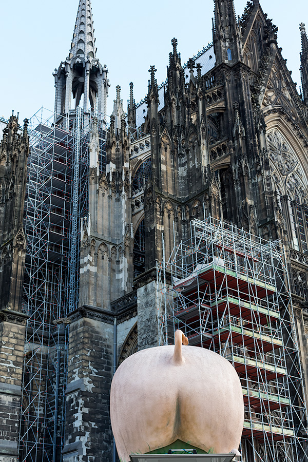 Der Dom hat gestern Schwein gehabt