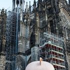 Der Dom hat gestern Schwein gehabt