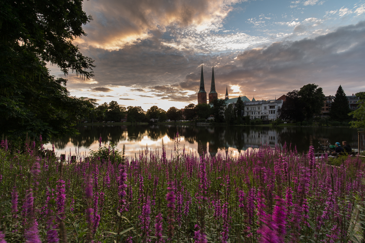 Der Dom im Blumenmeer...