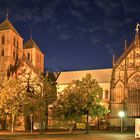 Der Dom in Münster bei Nacht ..............
