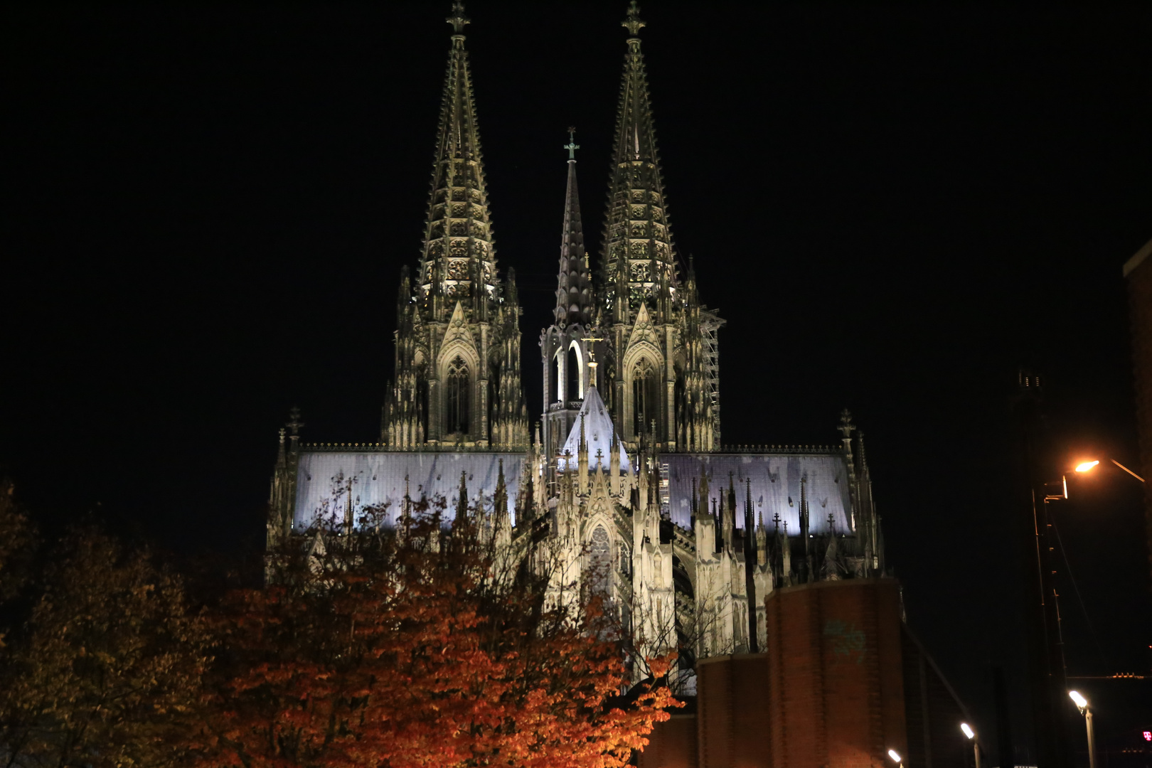 Der Dom mit Laubbaum ....