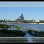 Der Dom steht in Köln immer im Mittelpunkt (2)