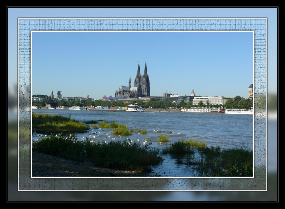 Der Dom steht in Köln immer im Mittelpunkt (2)