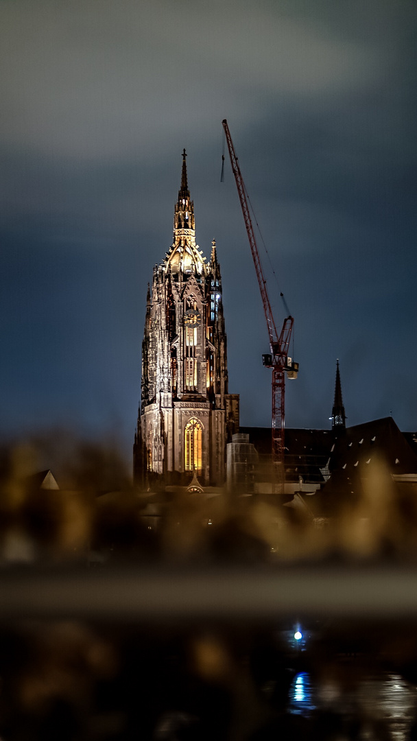 Der Dom und der Kran 