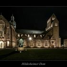 ** der Dom zu Hildesheim, bei Nacht...**