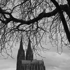 Der Dom zu Köln