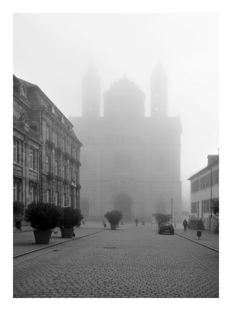 Der Dom zu Speyer im Morgennebel