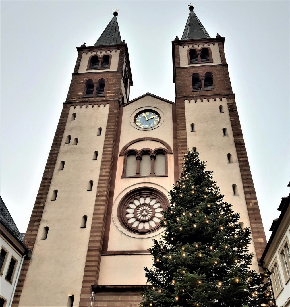 Der Dom zu Würzburg 2