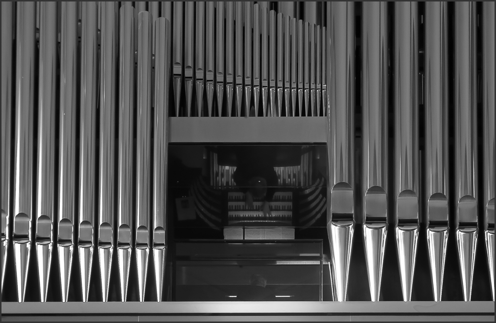 Der Domorganist