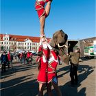 Der Domplatz war heute