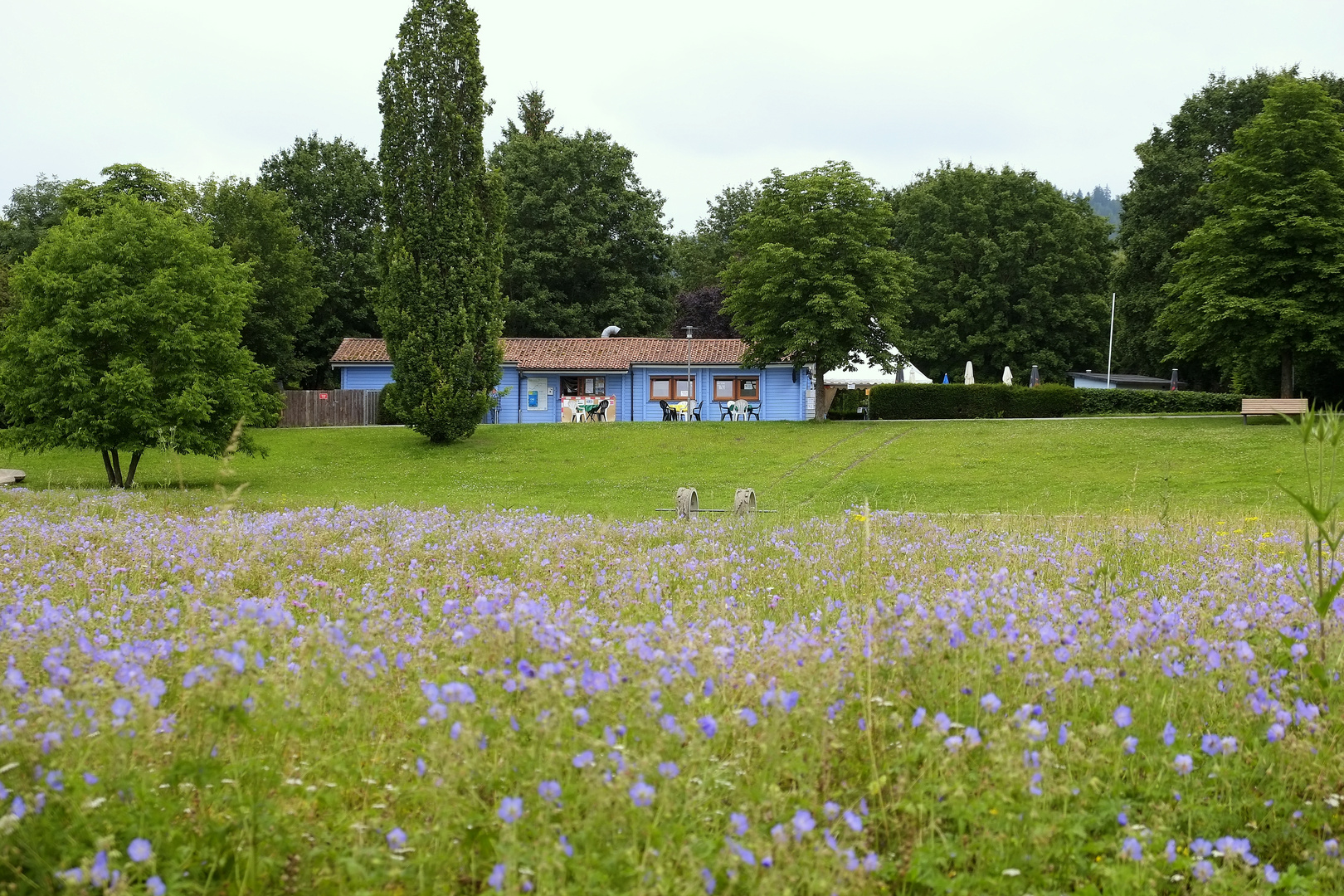 der Donaupark -1-