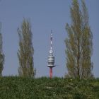 Der Donauturm - mal idyllisch