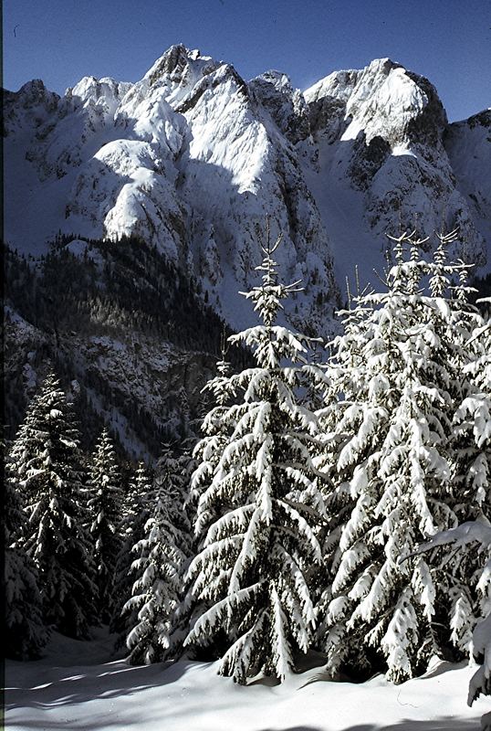 der Donnerkogel