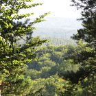 Der Donnersberg im Schleier